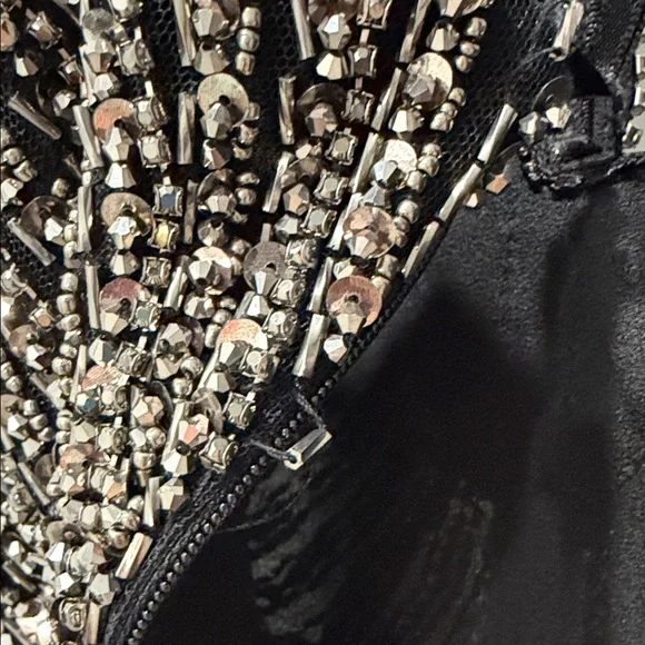 Pronovias Black Strapless Dress with Silver - Atos style 48- Beading size 4 - Picture 15 of 15